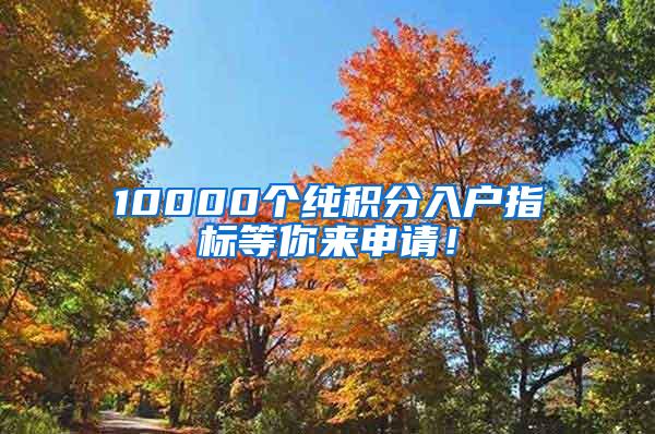 10000个纯积分入户指标等你来申请！