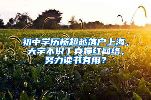 初中学历杨超越落户上海，大字不识丁真爆红网络，努力读书有用？