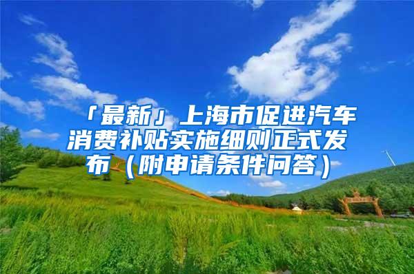 「最新」上海市促进汽车消费补贴实施细则正式发布（附申请条件问答）