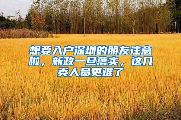 想要入户深圳的朋友注意啦，新政一旦落实，这几类人员更难了