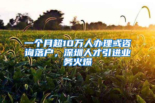 一个月超10万人办理或咨询落户，深圳人才引进业务火爆