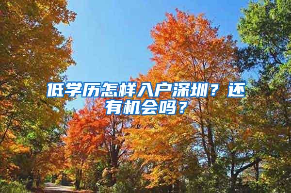 低学历怎样入户深圳？还有机会吗？