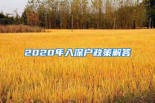 2020年入深户政策解答