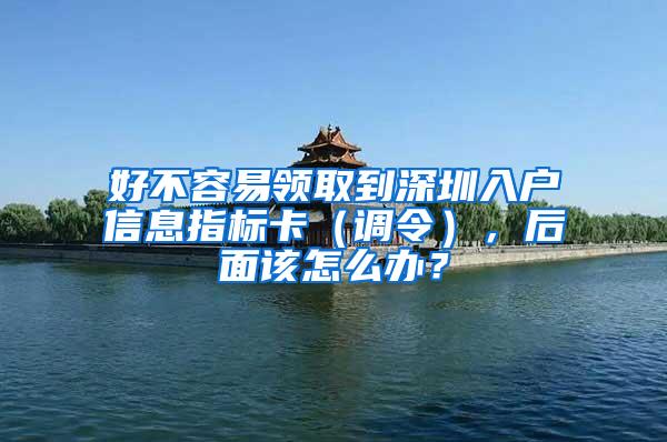 好不容易领取到深圳入户信息指标卡（调令），后面该怎么办？