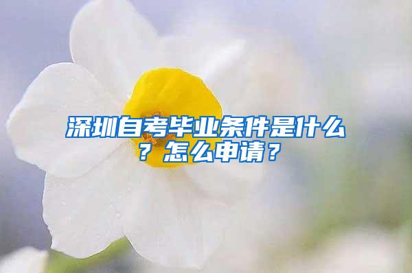 深圳自考毕业条件是什么？怎么申请？