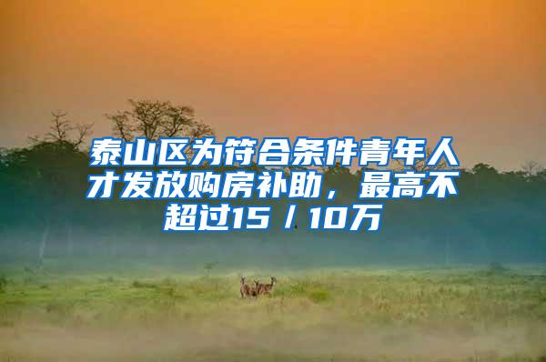 泰山区为符合条件青年人才发放购房补助，最高不超过15／10万