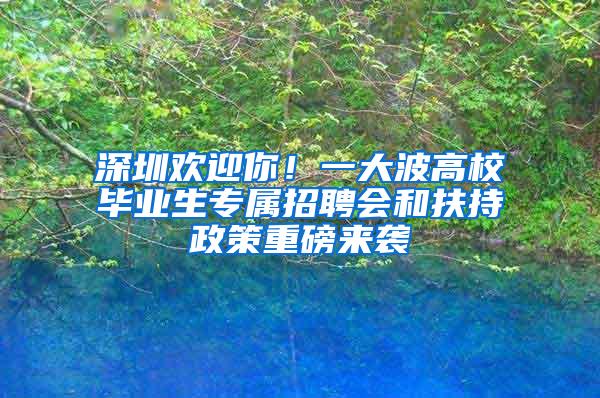 深圳欢迎你！一大波高校毕业生专属招聘会和扶持政策重磅来袭