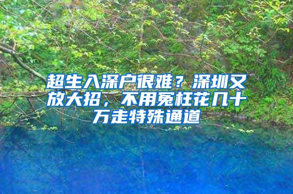 超生入深户很难？深圳又放大招，不用冤枉花几十万走特殊通道