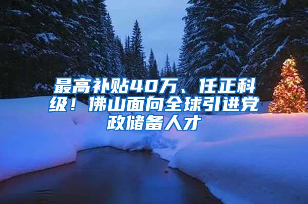 最高补贴40万、任正科级！佛山面向全球引进党政储备人才