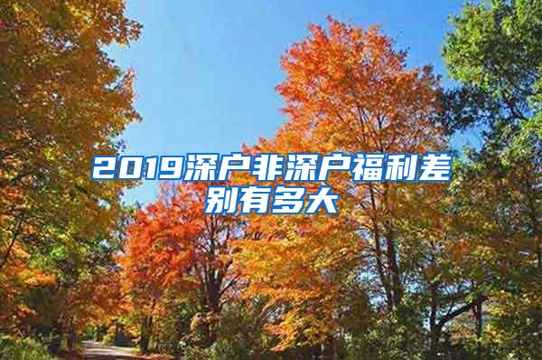 2019深户非深户福利差别有多大