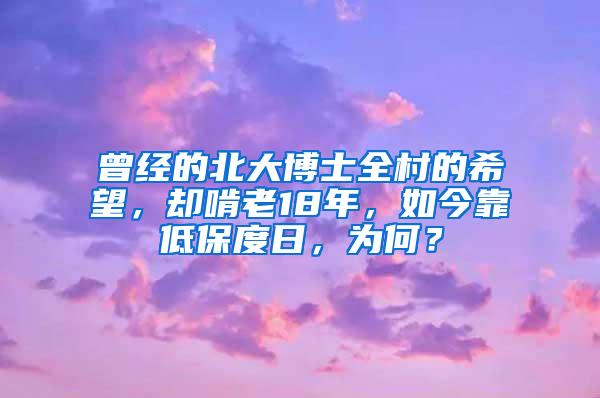 曾经的北大博士全村的希望，却啃老18年，如今靠低保度日，为何？