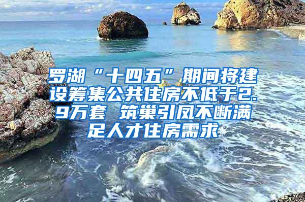 罗湖“十四五”期间将建设筹集公共住房不低于2.9万套 筑巢引凤不断满足人才住房需求