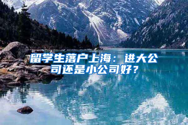 留学生落户上海：进大公司还是小公司好？