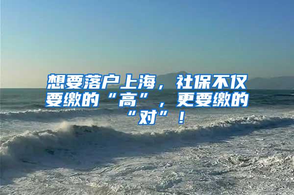 想要落户上海，社保不仅要缴的“高”，更要缴的“对”！