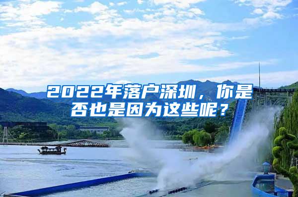 2022年落户深圳，你是否也是因为这些呢？