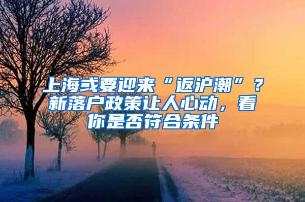 上海或要迎来“返沪潮”？新落户政策让人心动，看你是否符合条件