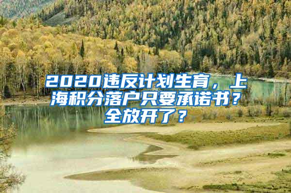 2020违反计划生育，上海积分落户只要承诺书？全放开了？