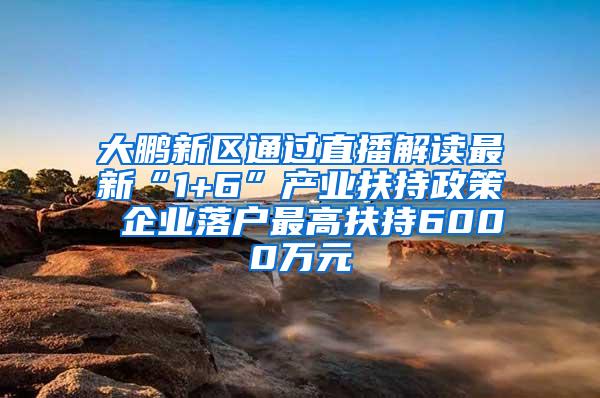 大鹏新区通过直播解读最新“1+6”产业扶持政策 企业落户最高扶持6000万元