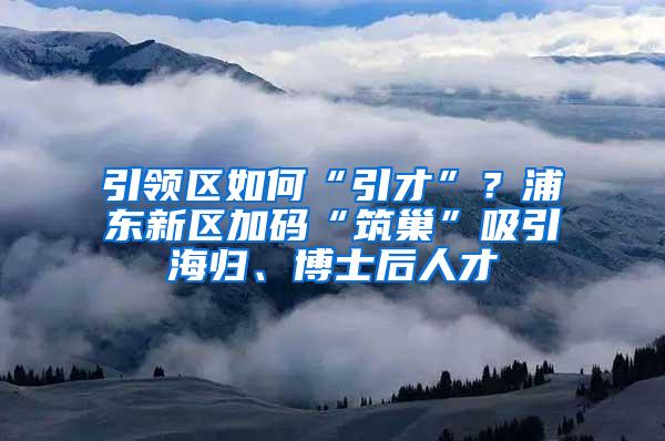 引领区如何“引才”？浦东新区加码“筑巢”吸引海归、博士后人才