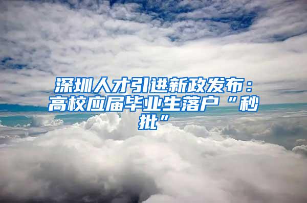 深圳人才引进新政发布：高校应届毕业生落户“秒批”