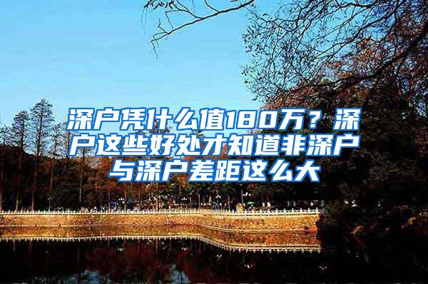 深户凭什么值180万？深户这些好处才知道非深户与深户差距这么大