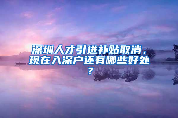 深圳人才引进补贴取消，现在入深户还有哪些好处？