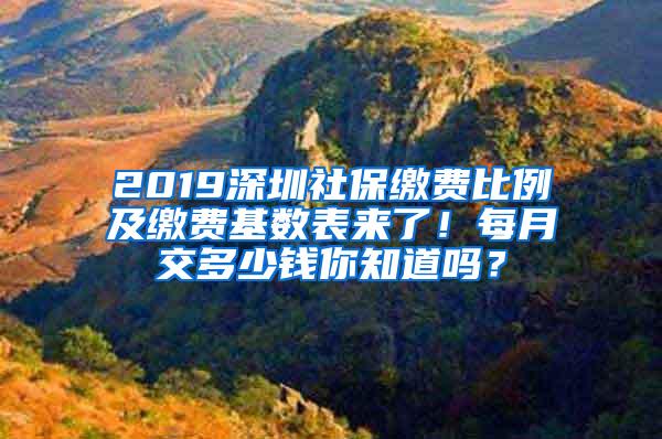 2019深圳社保缴费比例及缴费基数表来了！每月交多少钱你知道吗？