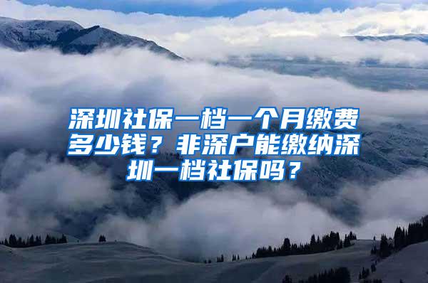 深圳社保一档一个月缴费多少钱？非深户能缴纳深圳一档社保吗？