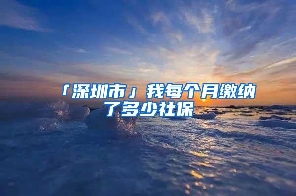 「深圳市」我每个月缴纳了多少社保