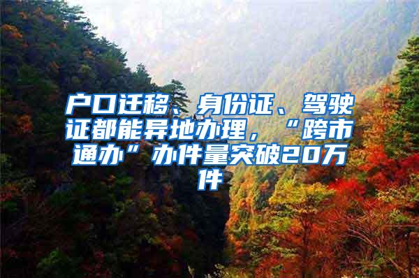 户口迁移、身份证、驾驶证都能异地办理，“跨市通办”办件量突破20万件