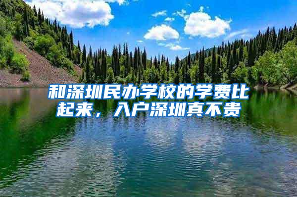 和深圳民办学校的学费比起来，入户深圳真不贵