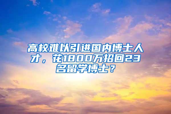 高校难以引进国内博士人才，花1800万招回23名留学博士？