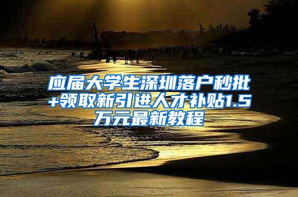 应届大学生深圳落户秒批+领取新引进人才补贴1.5万元最新教程