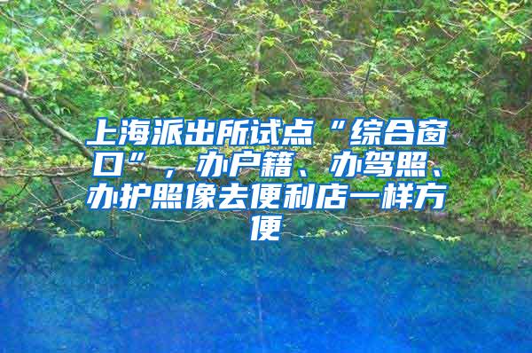 上海派出所试点“综合窗口”，办户籍、办驾照、办护照像去便利店一样方便