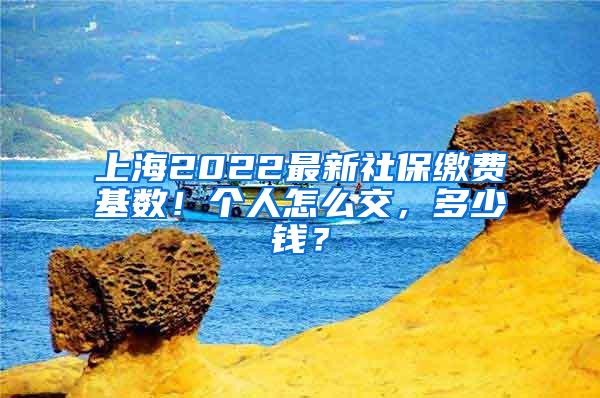 上海2022最新社保缴费基数！个人怎么交，多少钱？