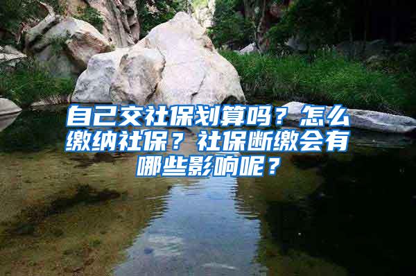 自己交社保划算吗？怎么缴纳社保？社保断缴会有哪些影响呢？