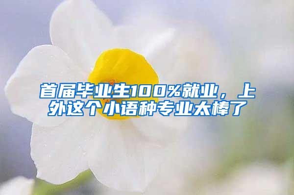 首届毕业生100%就业，上外这个小语种专业太棒了