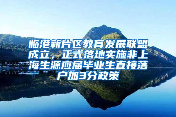 临港新片区教育发展联盟成立，正式落地实施非上海生源应届毕业生直接落户加3分政策