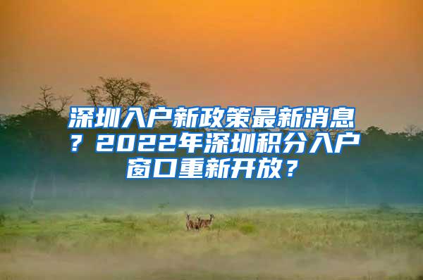 深圳入户新政策最新消息？2022年深圳积分入户窗口重新开放？