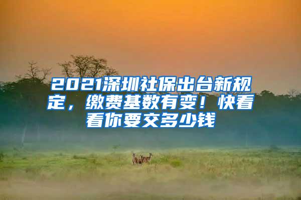 2021深圳社保出台新规定，缴费基数有变！快看看你要交多少钱