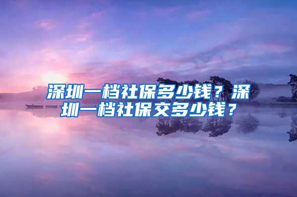 深圳一档社保多少钱？深圳一档社保交多少钱？