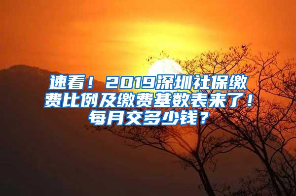 速看！2019深圳社保缴费比例及缴费基数表来了！每月交多少钱？