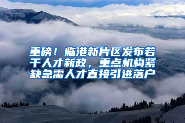 重磅！临港新片区发布若干人才新政，重点机构紧缺急需人才直接引进落户