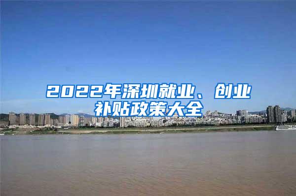 2022年深圳就业、创业补贴政策大全