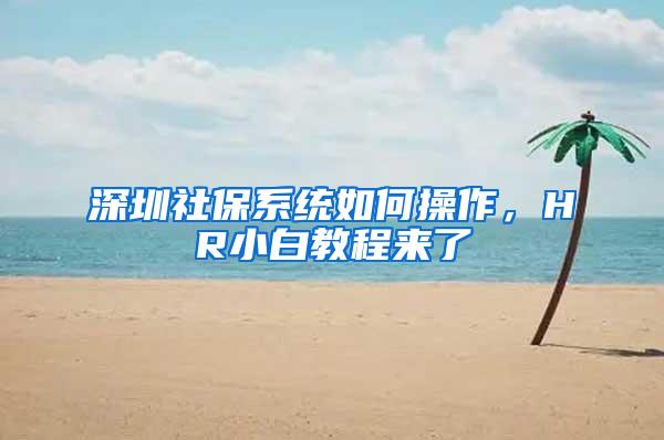 深圳社保系统如何操作，HR小白教程来了