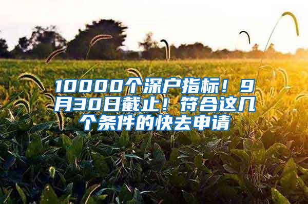 10000个深户指标！9月30日截止！符合这几个条件的快去申请