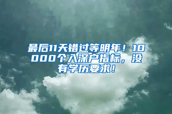 最后11天错过等明年！10000个入深户指标，没有学历要求！