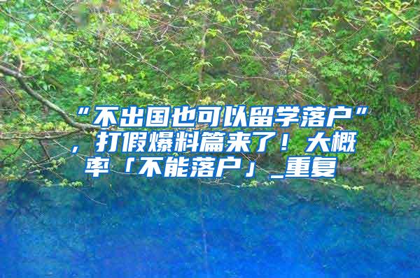 “不出国也可以留学落户”，打假爆料篇来了！大概率「不能落户」_重复