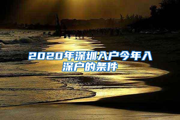 2020年深圳入户今年入深户的条件