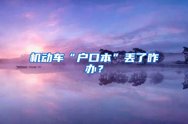 机动车“户口本”丢了咋办？